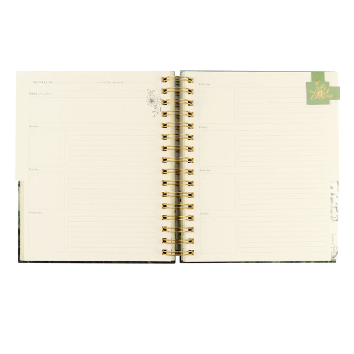 Open spiral-bound notebook with gold binding on a white background