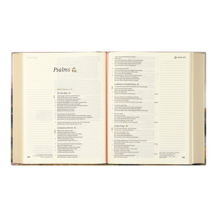 CSB Notetaking Bible: Faroe Theme