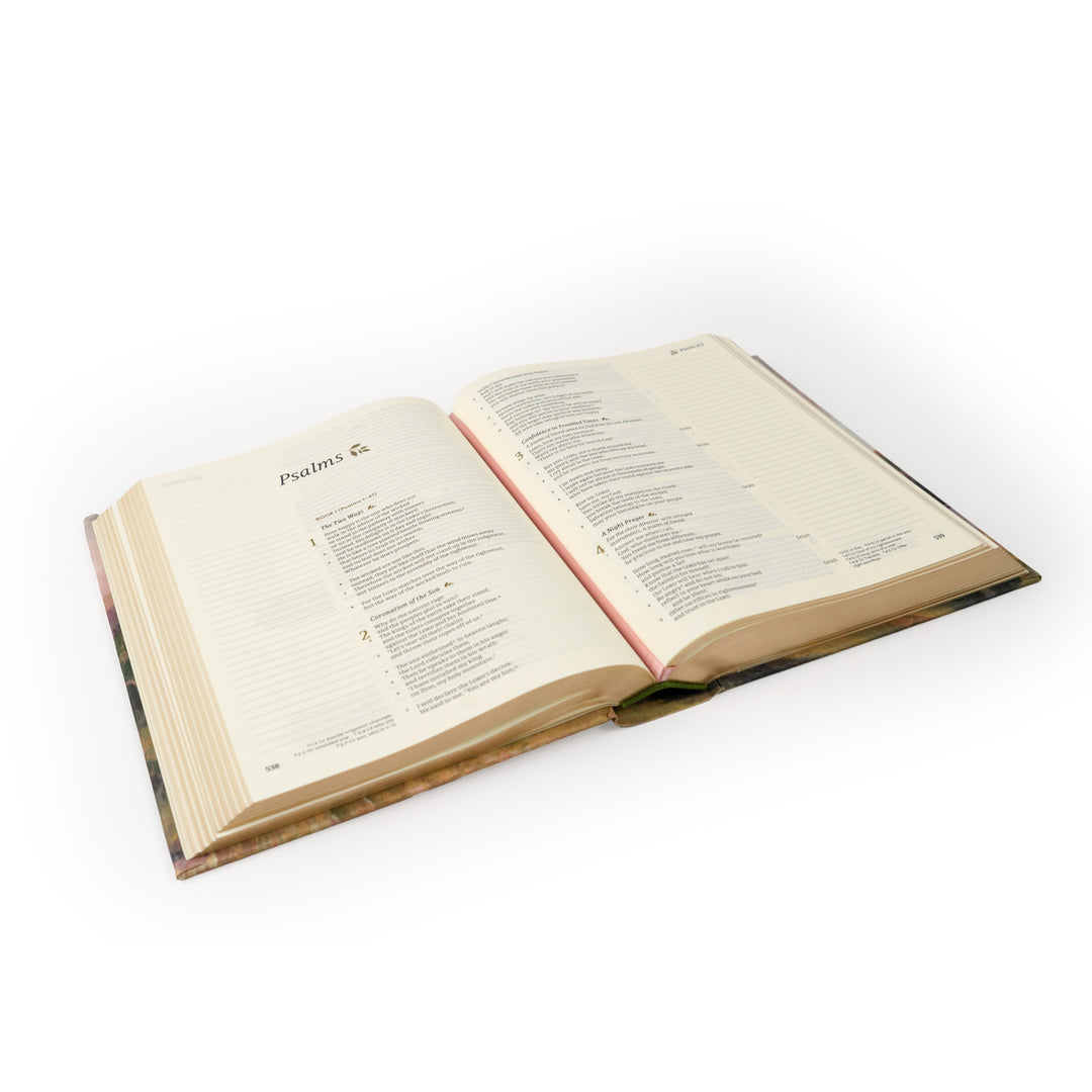 CSB Notetaking Bible: Faroe Theme