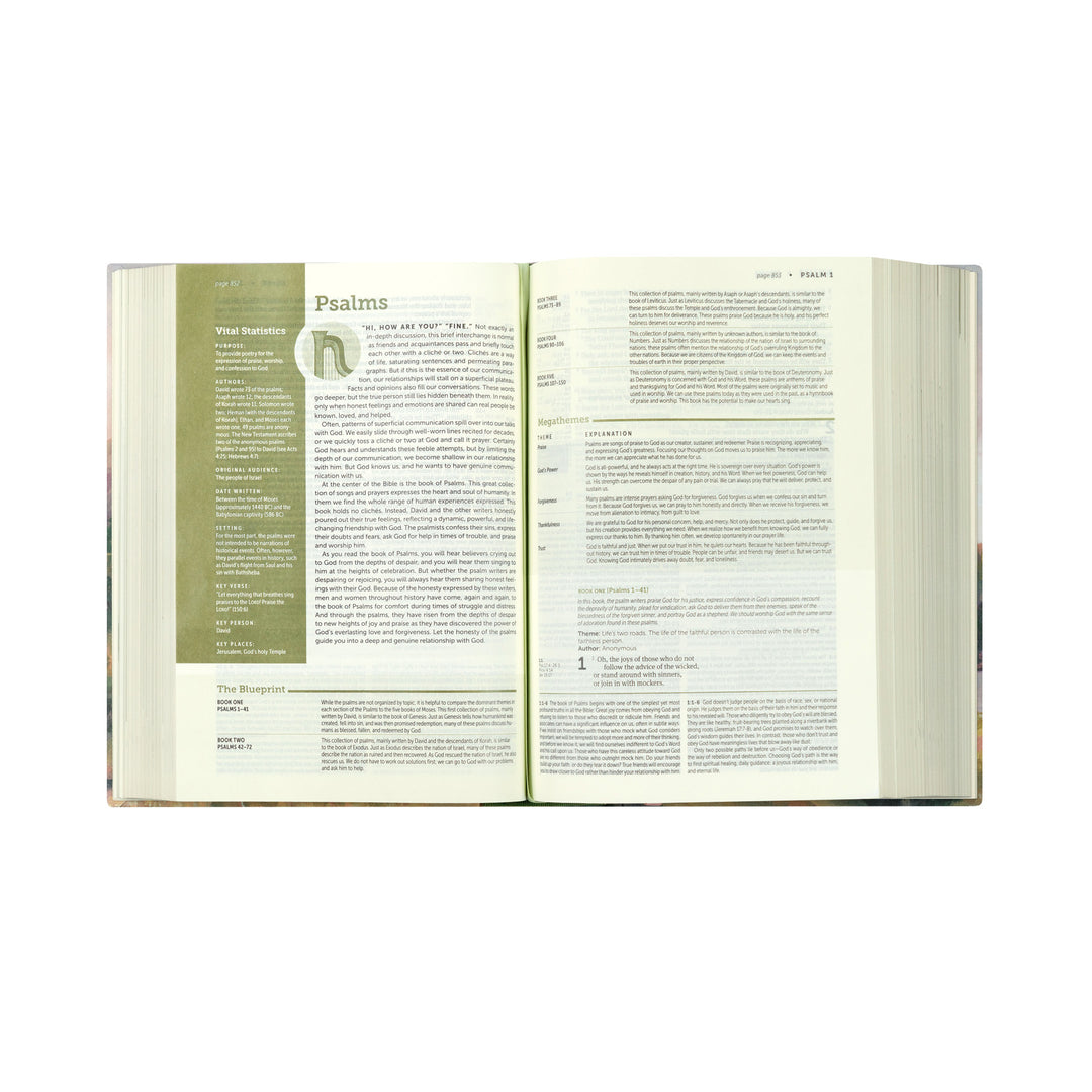 NLT Life Application Study Bible: Faroe Theme