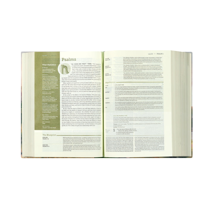 NLT Life Application Study Bible: Faroe Theme