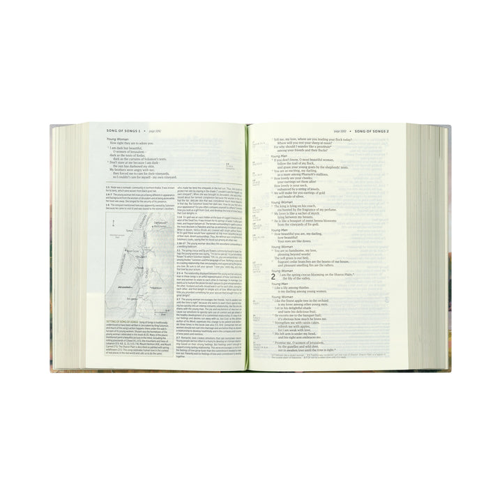 NLT Life Application Study Bible: Faroe Theme
