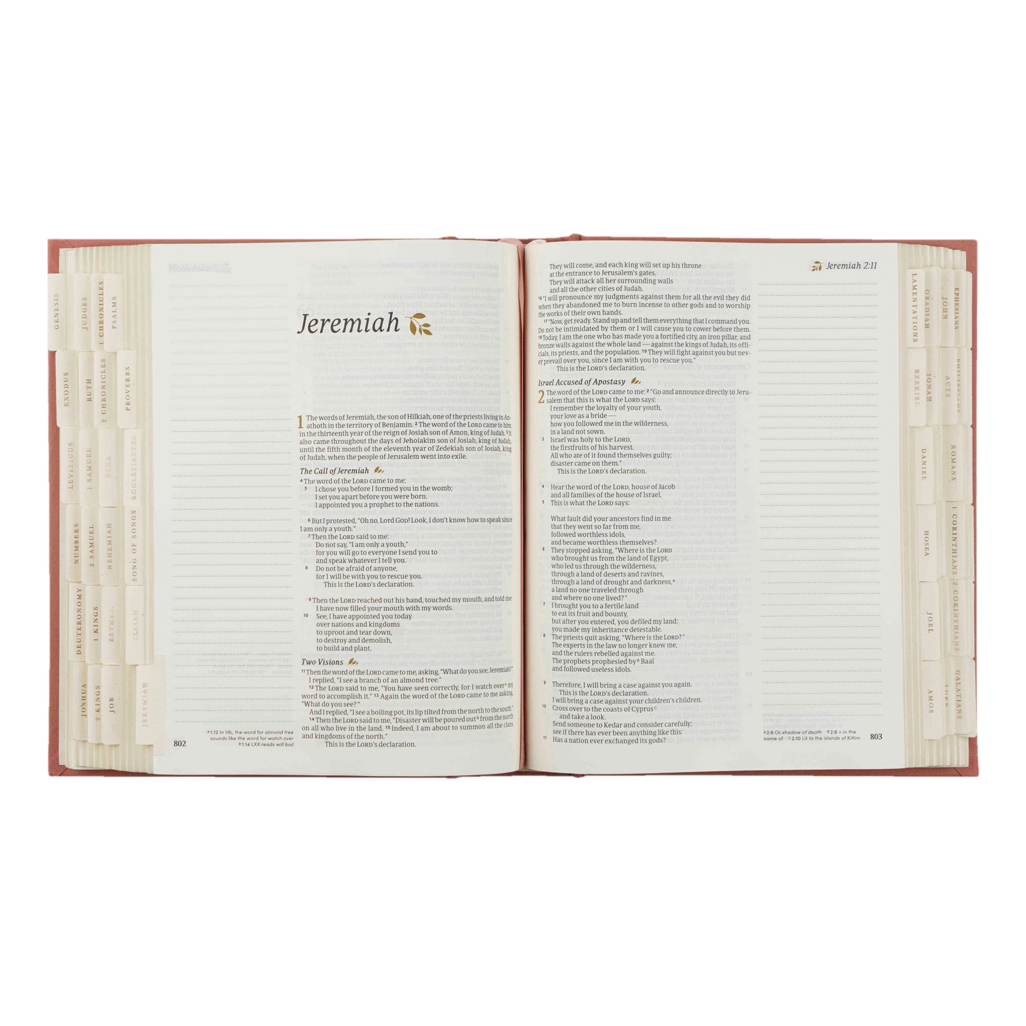 Bible Tabs: Gold Foiling | Hosanna Revival