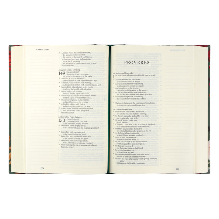 ESV Large Print Journaling Bible : Hollis Theme