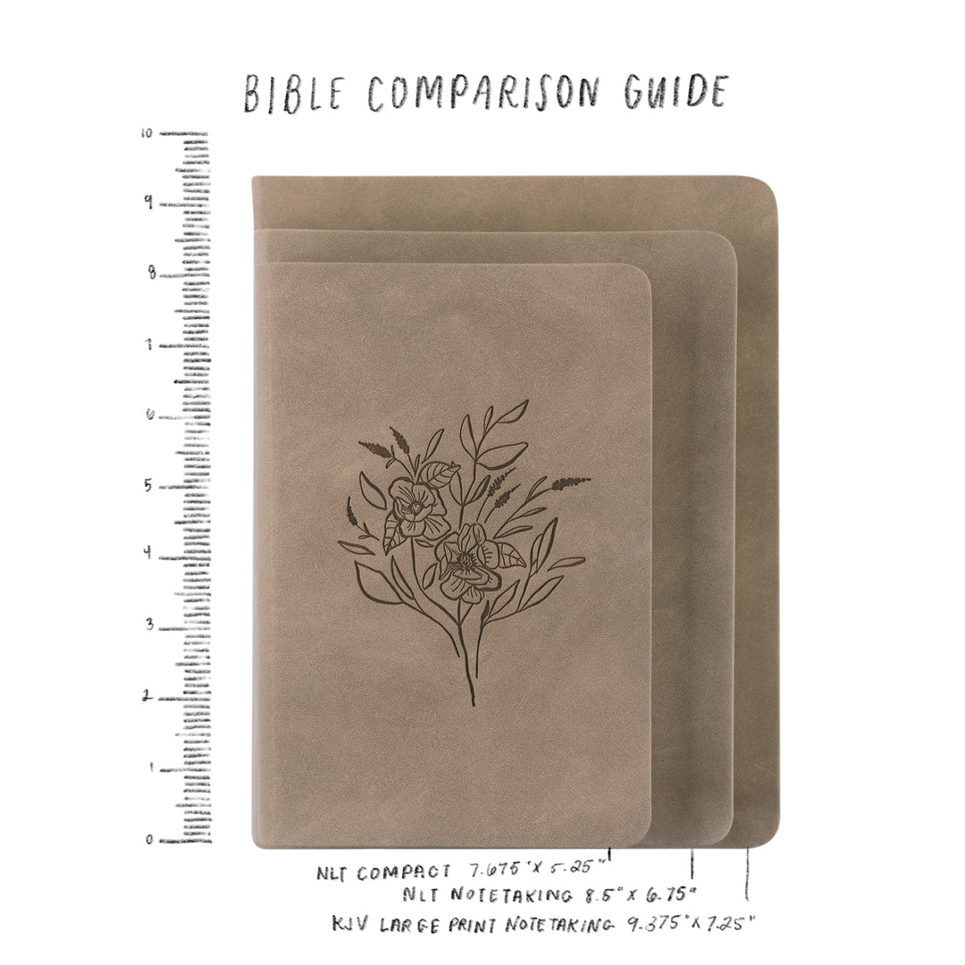 NLT Compact Bible: Aurora Theme