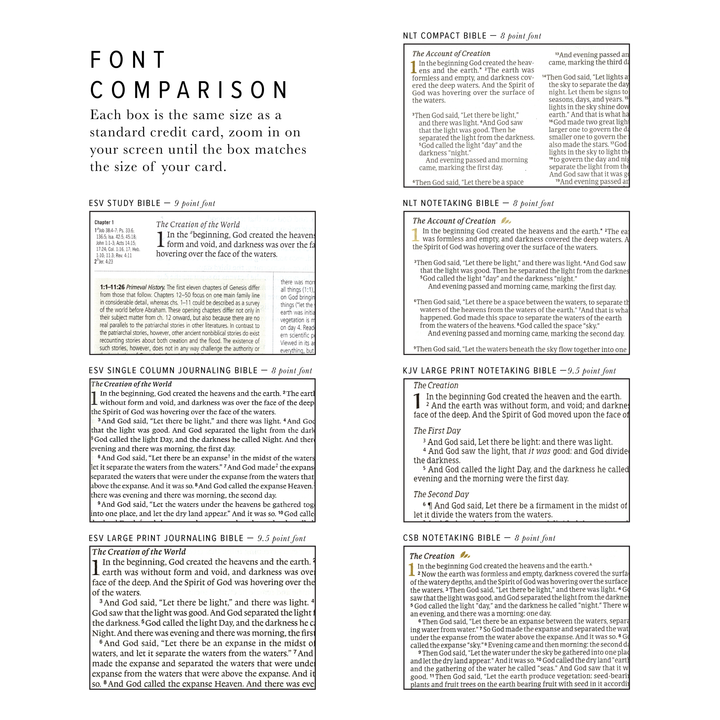 NLT Compact Bible: Willow Theme