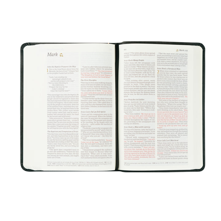 NLT Compact Bible: Jerusalem Theme