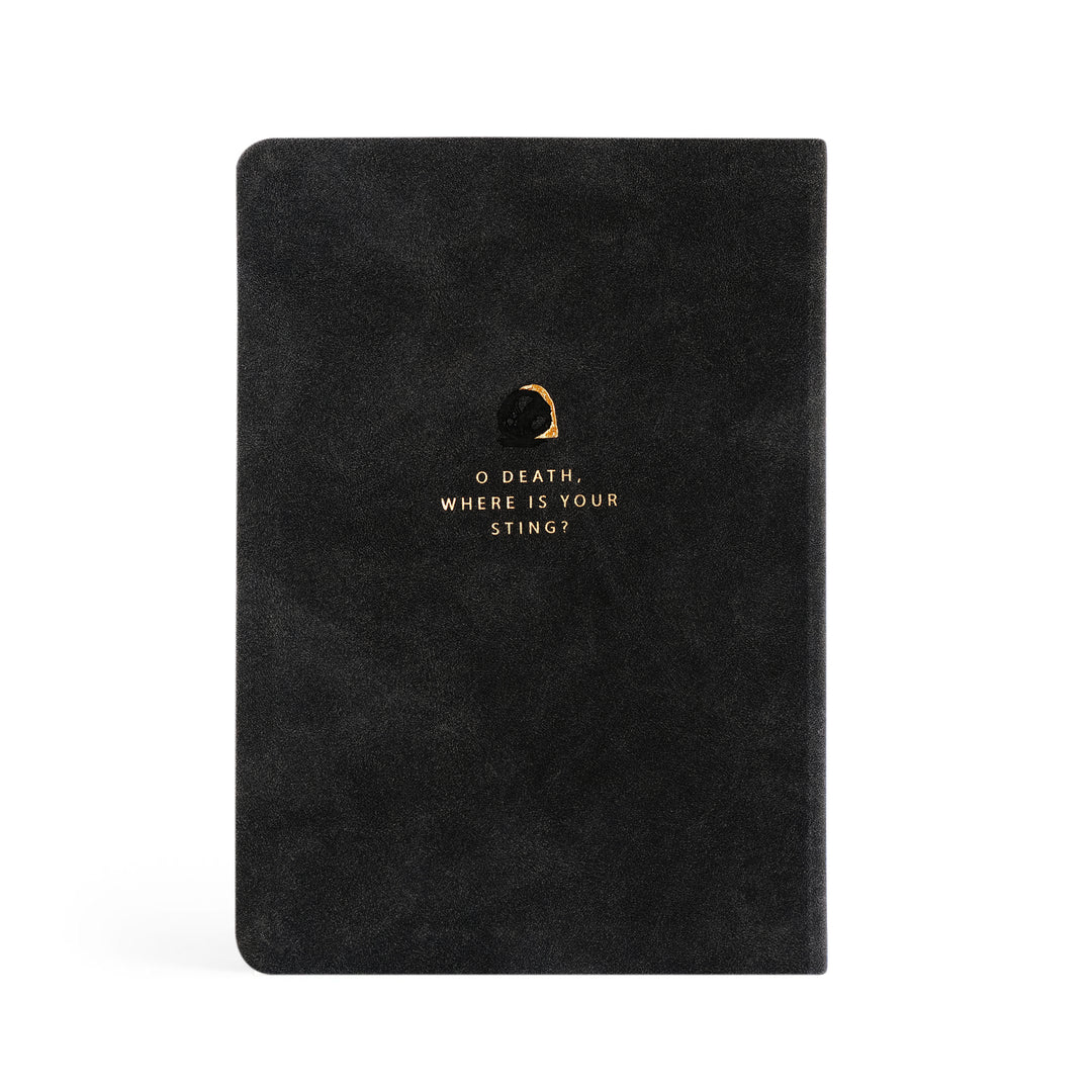 Jerusalem BUNDLE: CSB Notetaking Bible + Notebook