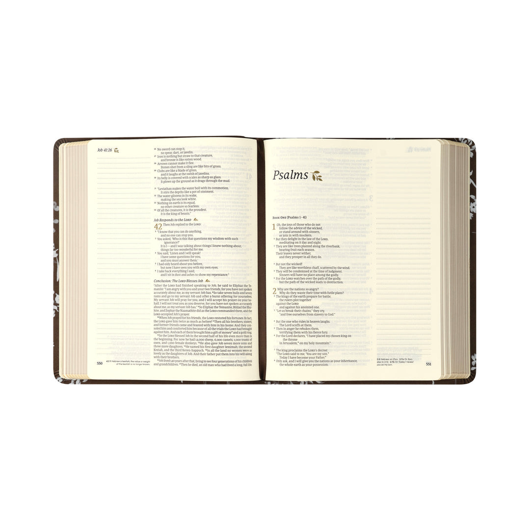 NLT Notetaking Bible: Lijiang Theme