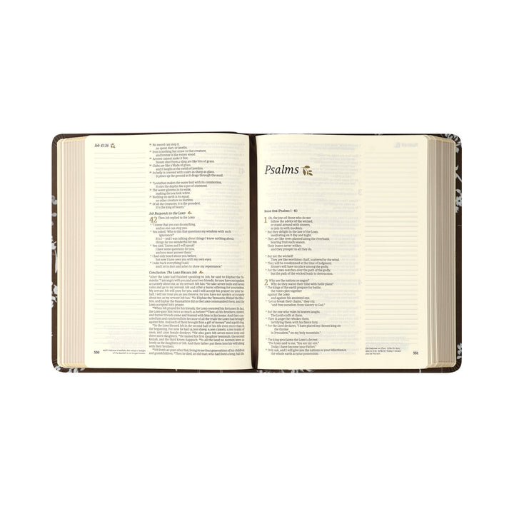 NLT Notetaking Bible: Lijiang Theme