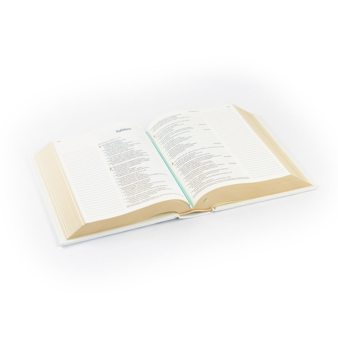 Open book on a white background