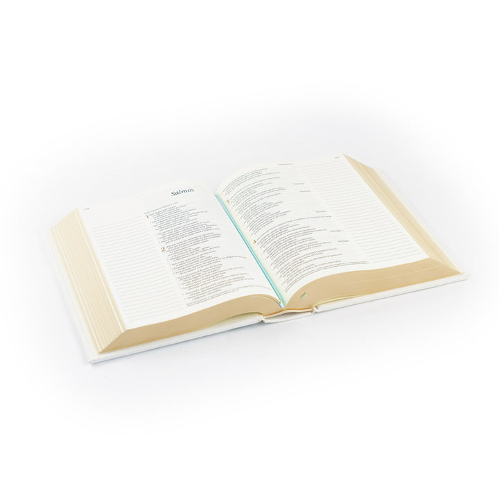 Open book on a white background