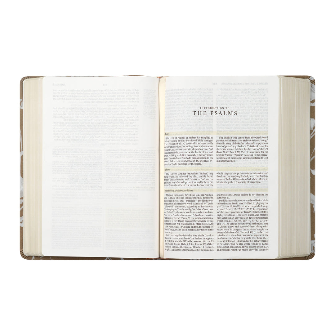 ESV Study Bible: Manila Theme