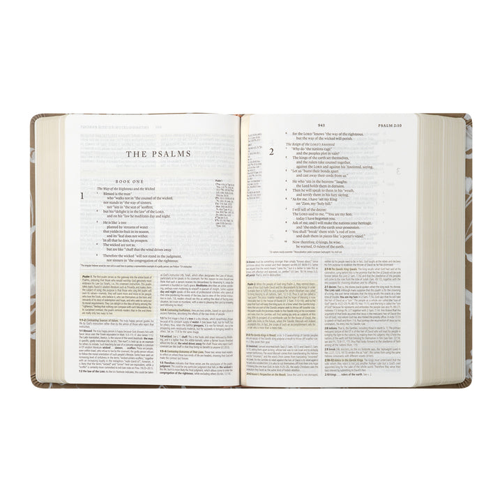 ESV Study Bible: Manila Theme