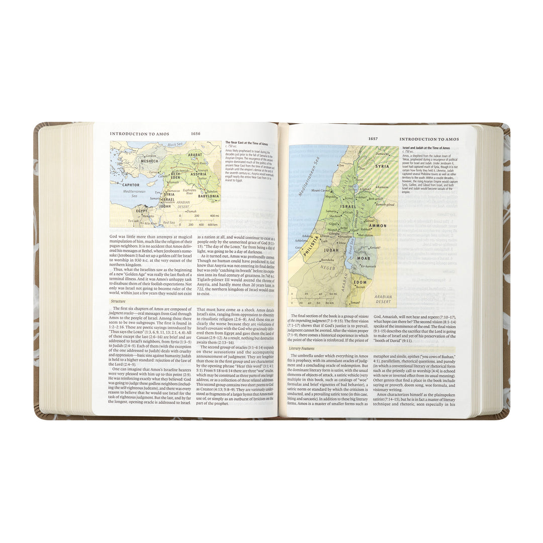 ESV Study Bible: Manila Theme