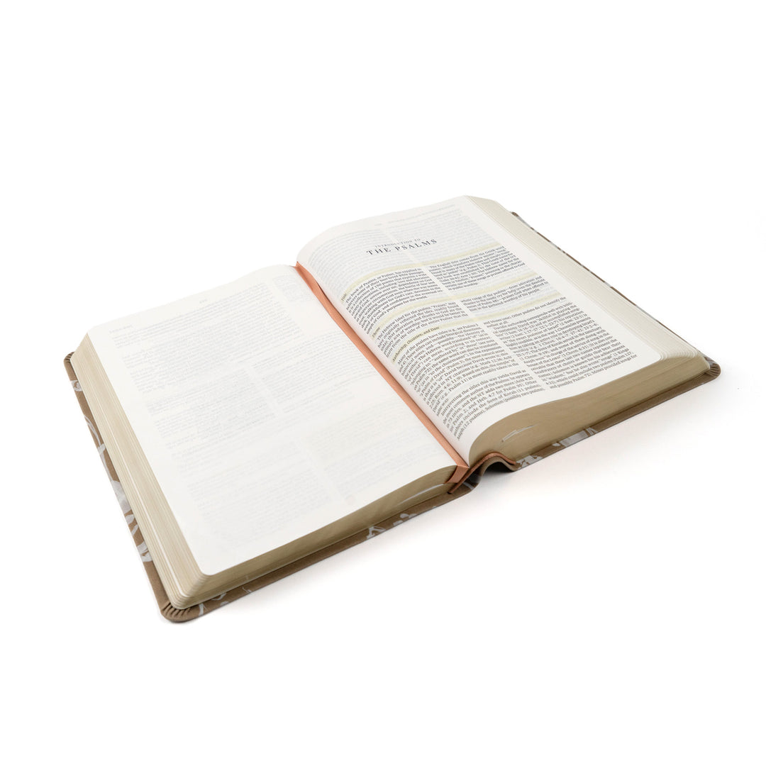 ESV Study Bible: Manila Theme