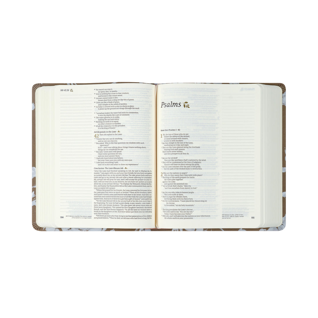 NLT Notetaking Bible: Manila Theme