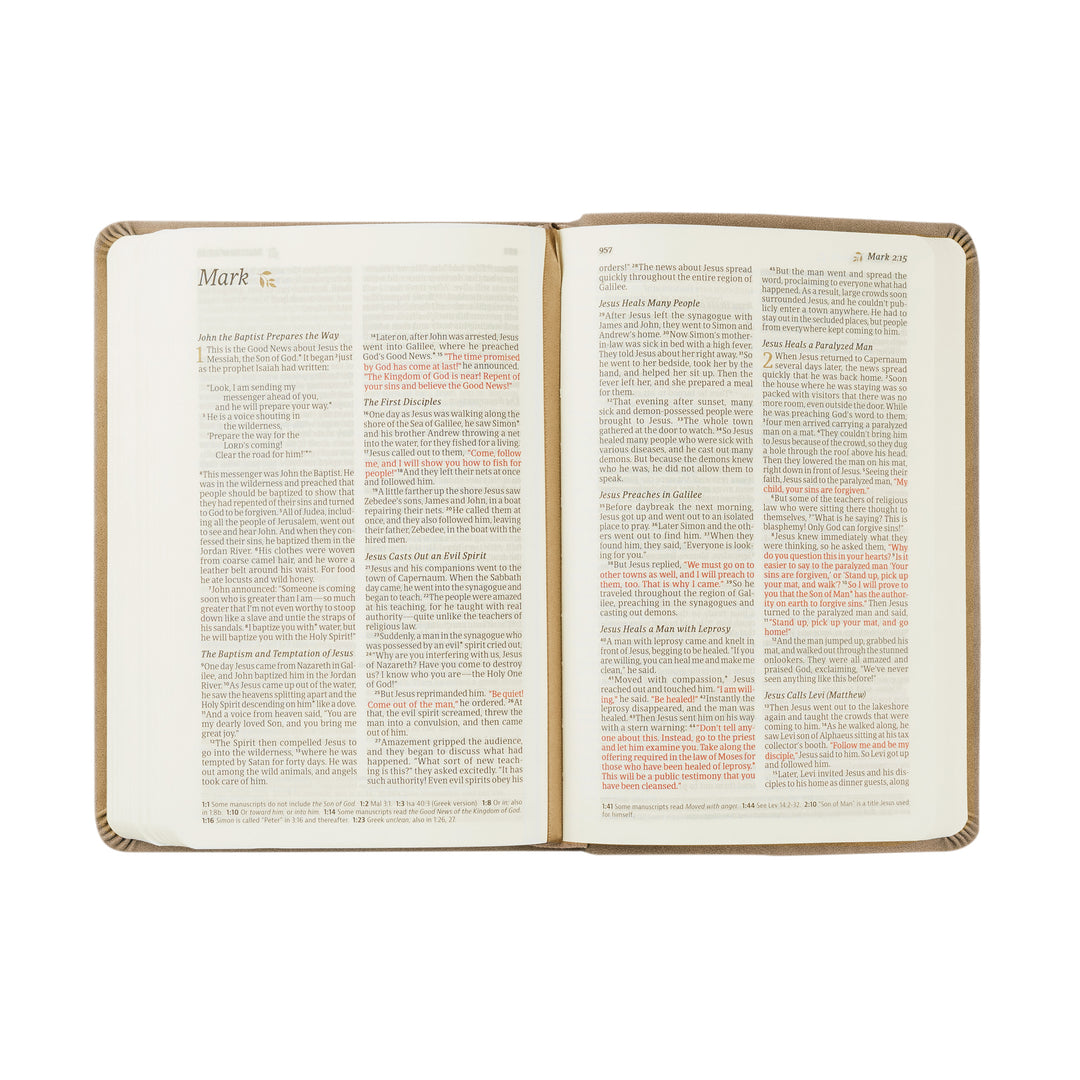 NLT Compact Bible: Marlo Theme