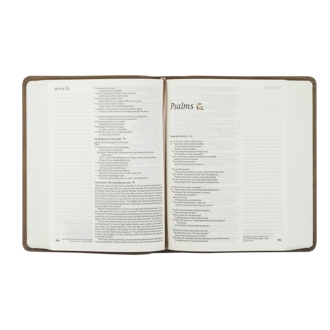 Marlo BUNDLE : NLT Notetaking Bible + Notebook