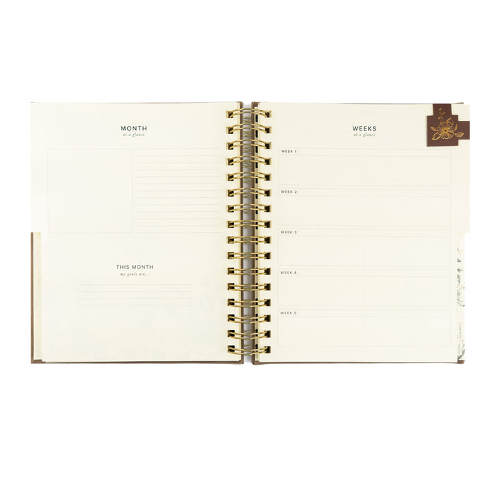 Open planner with monthly and weekly tabs on a white background