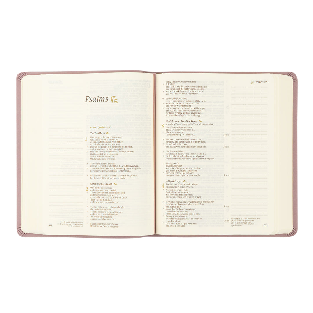 CSB Notetaking Bible: Mauves Theme