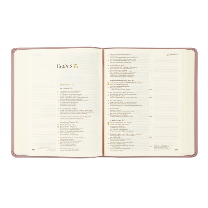CSB Notetaking Bible: Mauves Theme