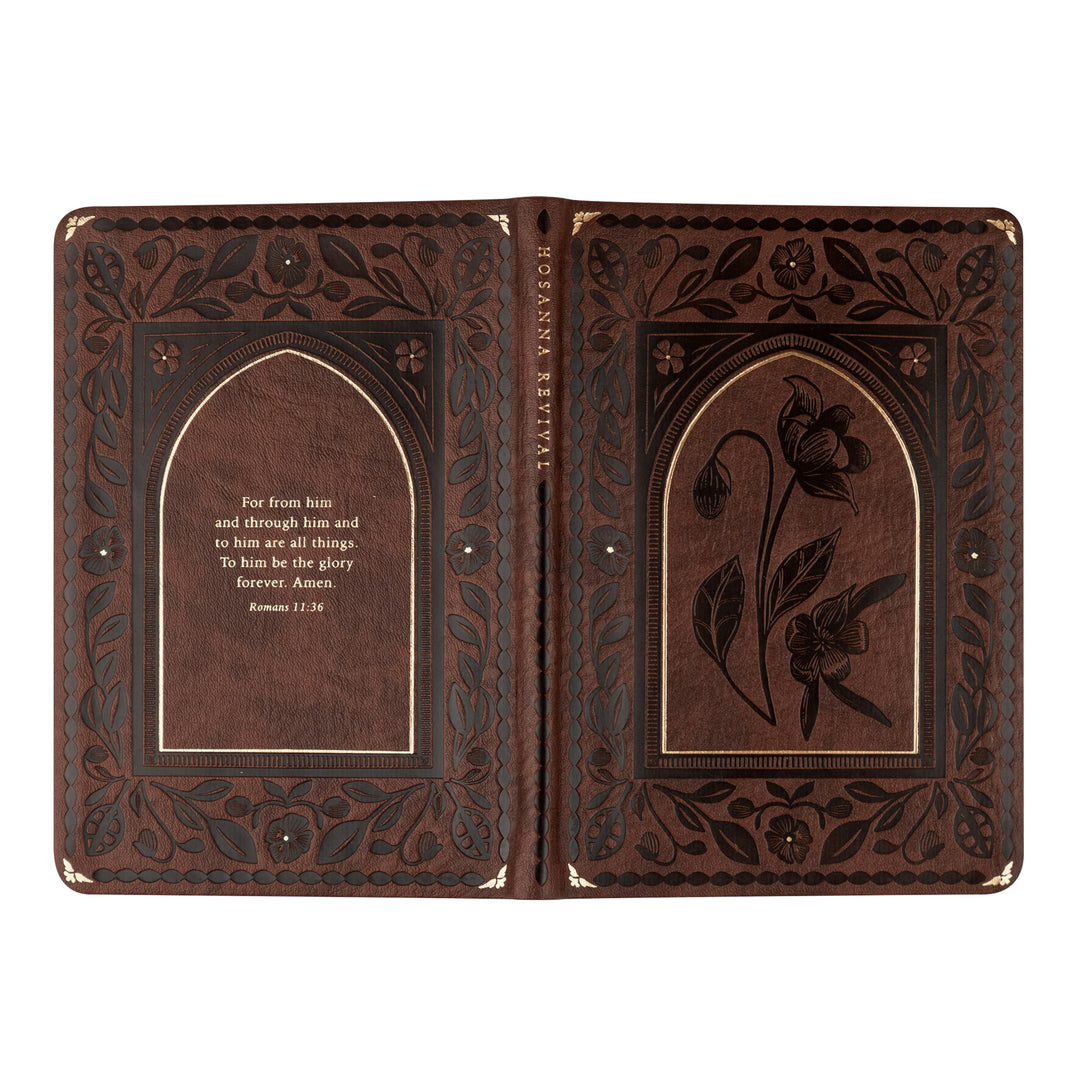 Notebook: Palma Theme