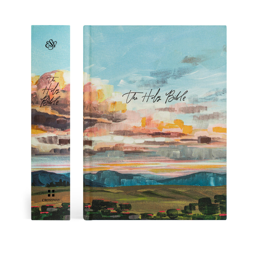 Bible with artistic covers featuring landscapes and 'The Holy Bible' text.