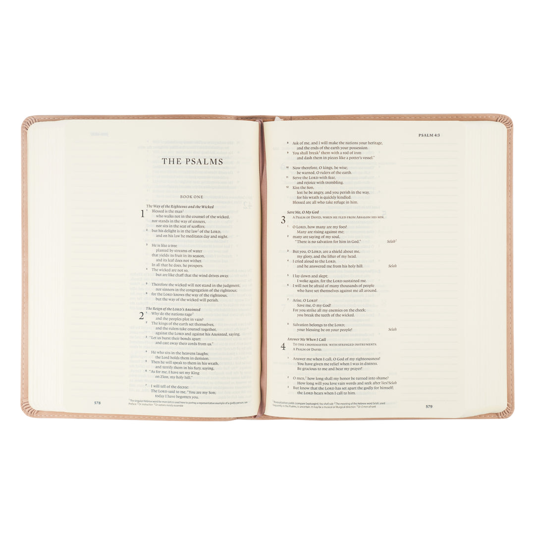 ESV Journaling Bible: Shiloh Theme