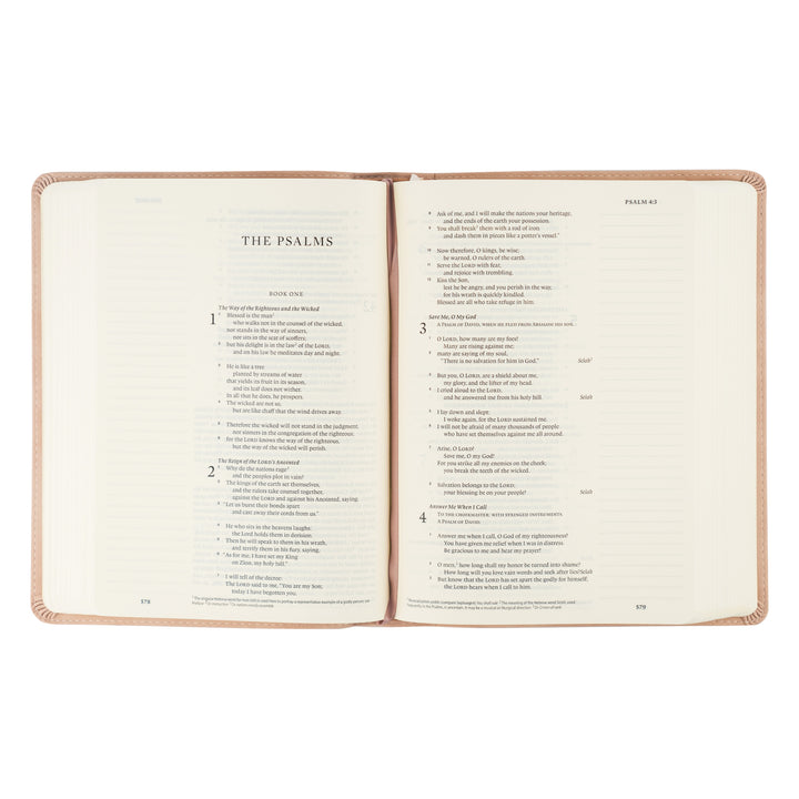 ESV Journaling Bible: Shiloh Theme