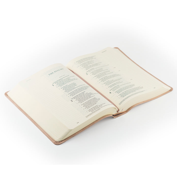 ESV Journaling Bible: Shiloh Theme