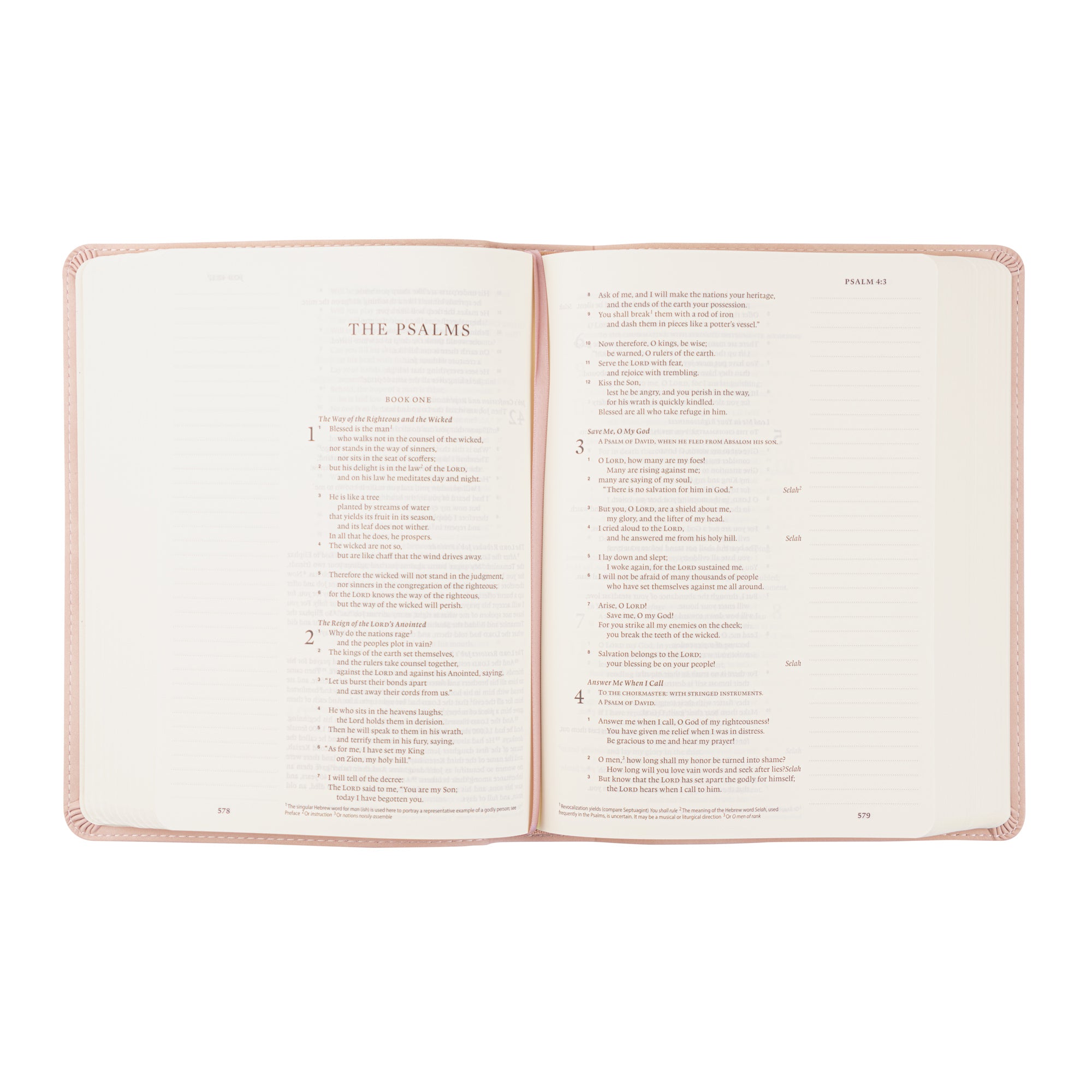 ESV Journaling Bible: Shiloh Theme | Hosanna Revival
