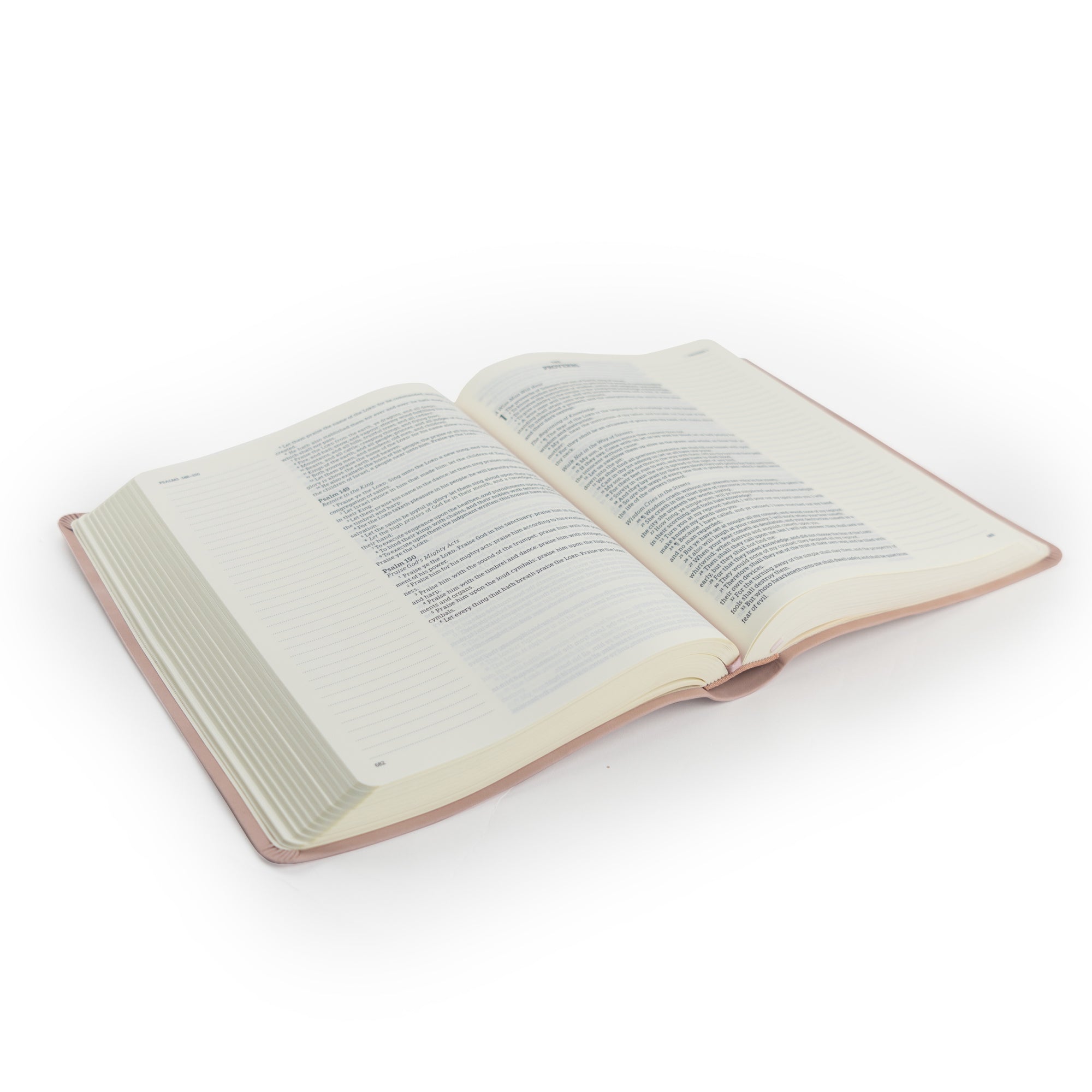 KJV Large Print Notetaking Bible: Shiloh Theme | Hosanna Revival