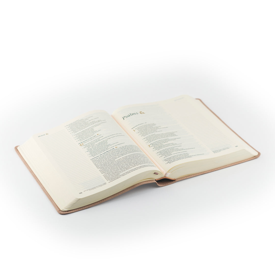 NLT Notetaking Bible: Shiloh Theme