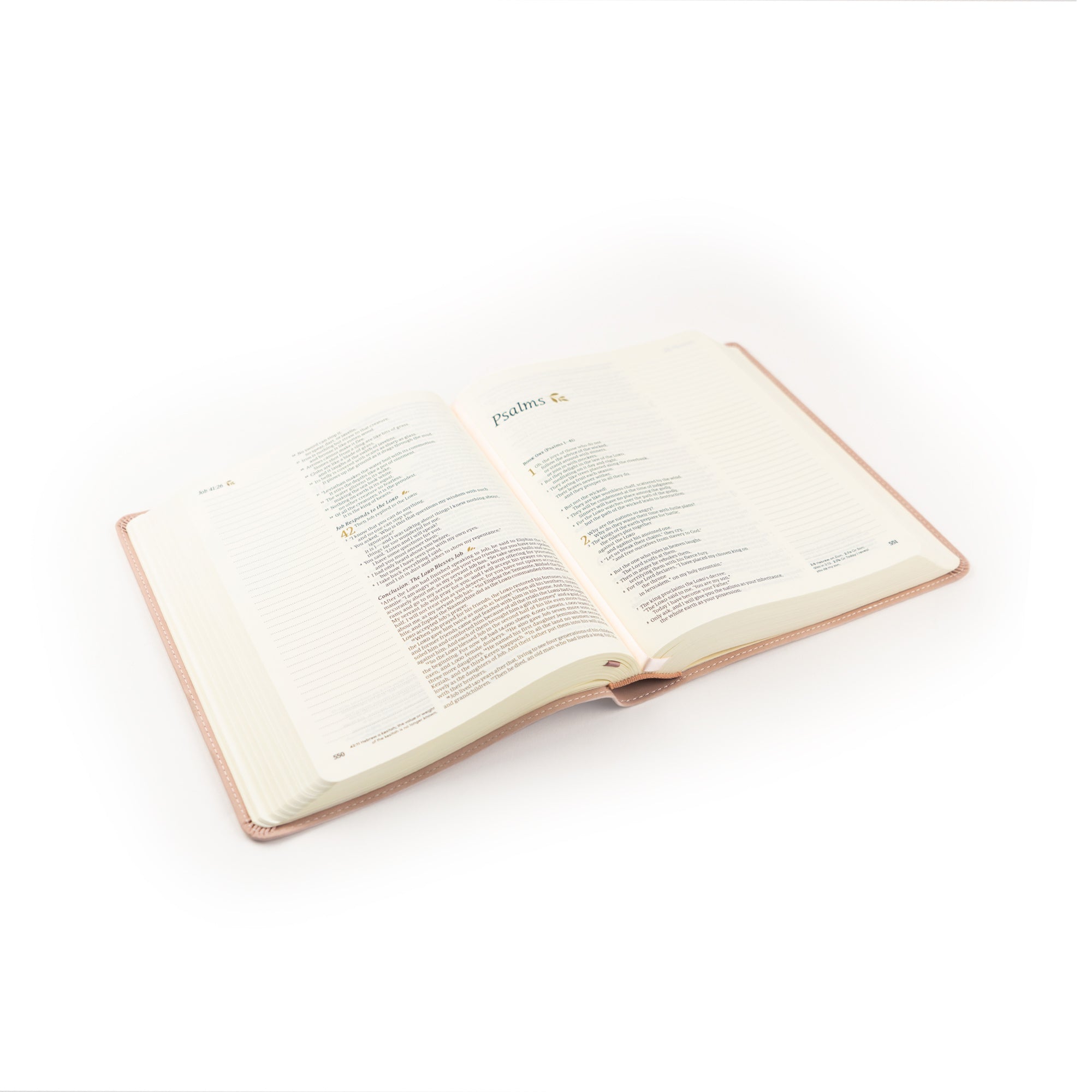NLT Notetaking Bible: Shiloh Theme | Hosanna Revival