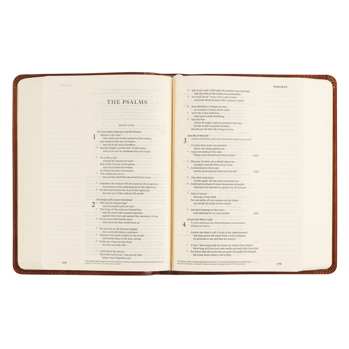 Open book displaying the Psalms with a brown leather cover on a white background