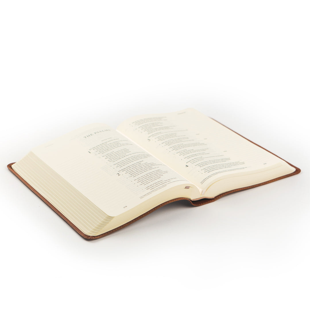 Open book on a white background