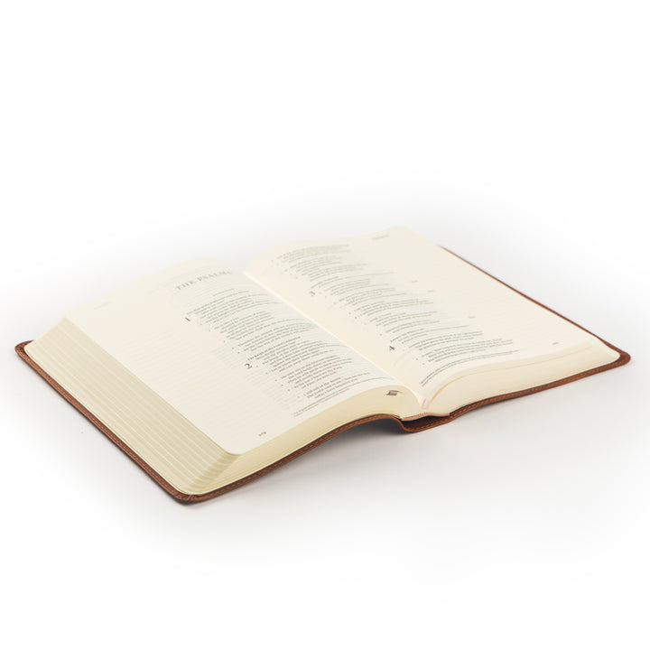 Open book on a white background