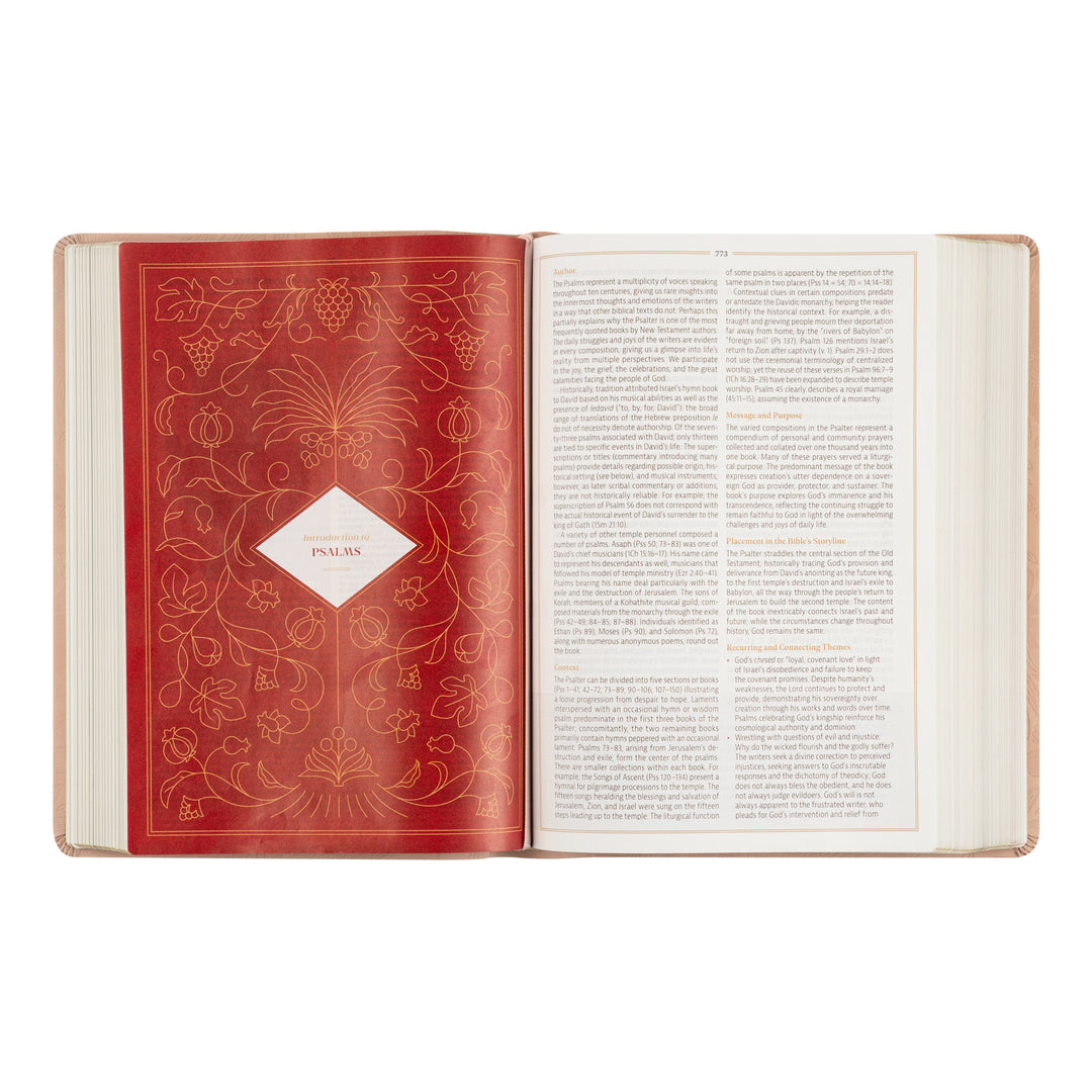 Open book with decorative red cover and white text pages on a white background