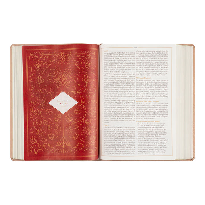 Open book with decorative red cover and white text pages on a white background