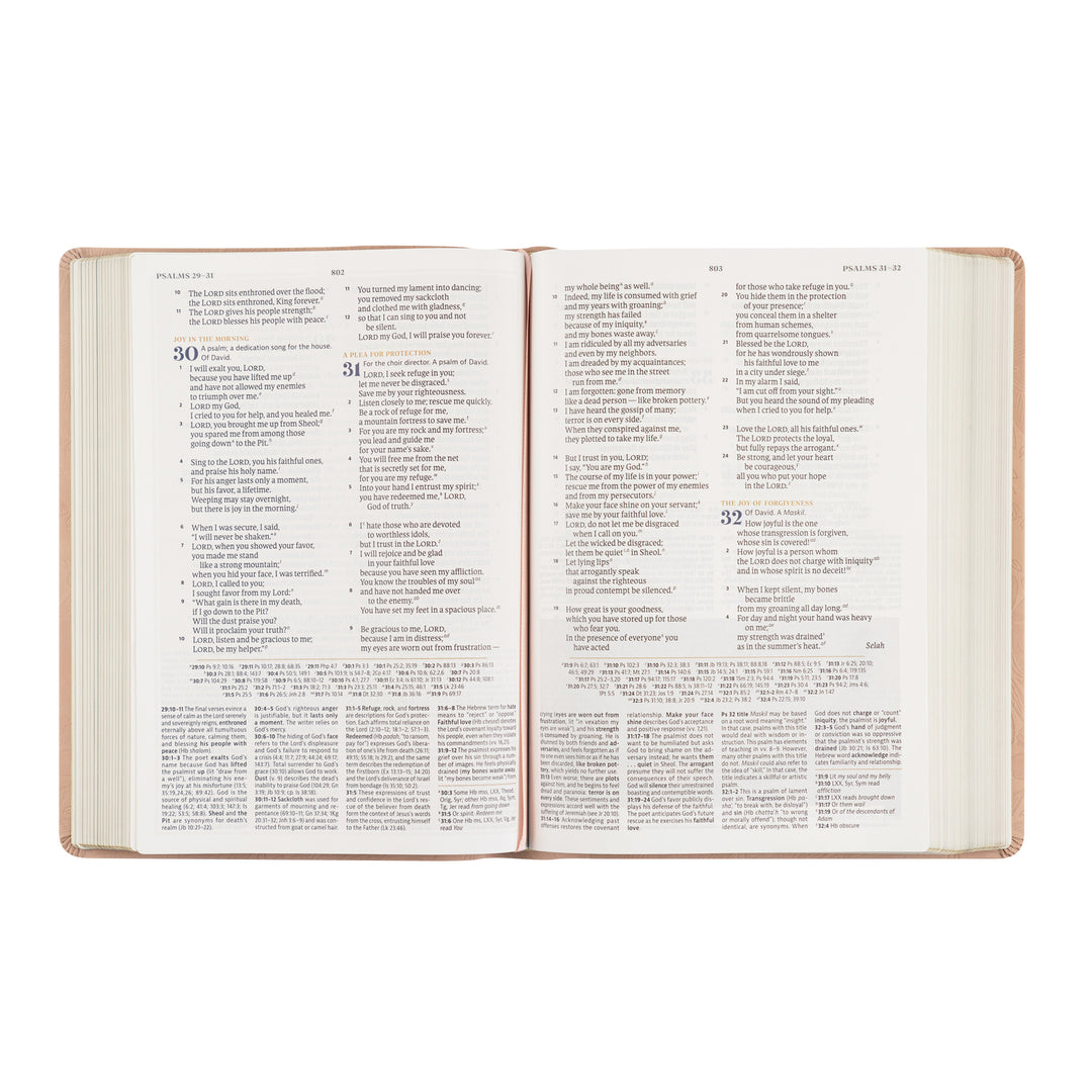 Open book with text on a white background