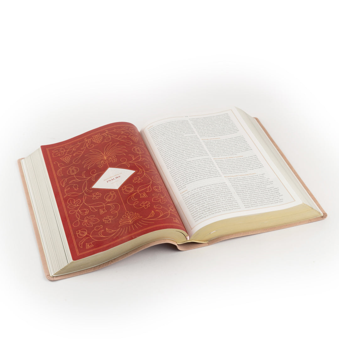 Open book with a red cover on a white background