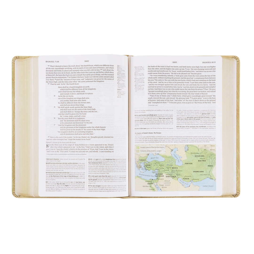 ESV Study Bible: Sonora Theme