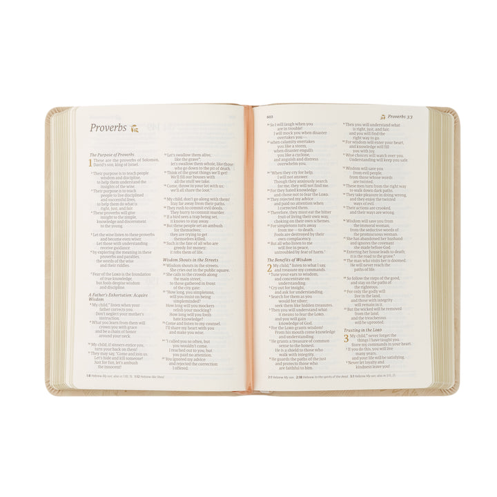 NLT Compact Bible: Sonora Theme