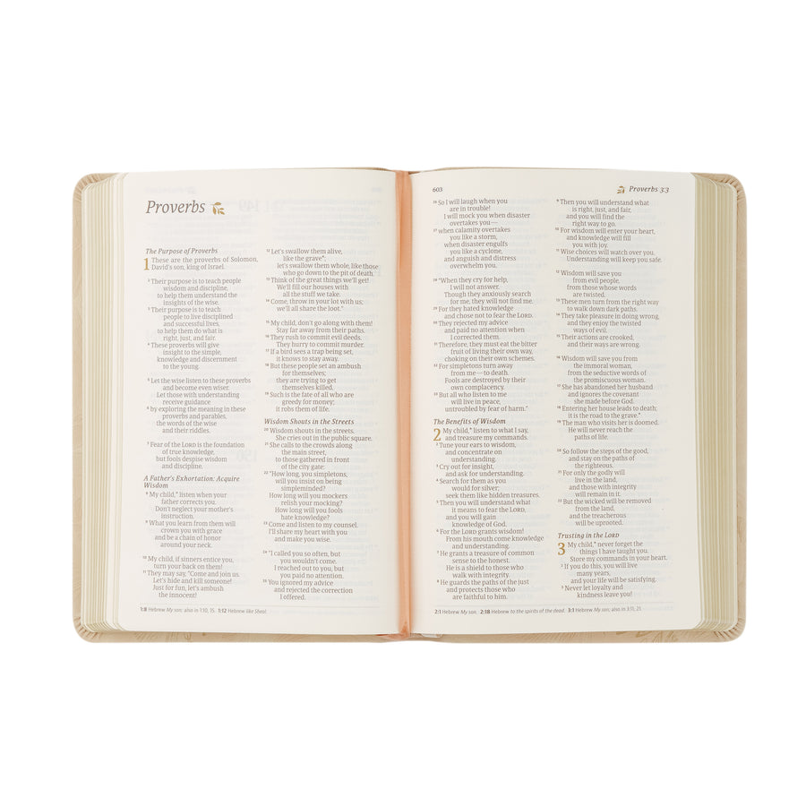 NLT Compact Bible: Sonora Theme | Hosanna Revival