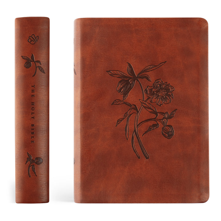 ESV Large Print Journaling Bible: Verona Theme