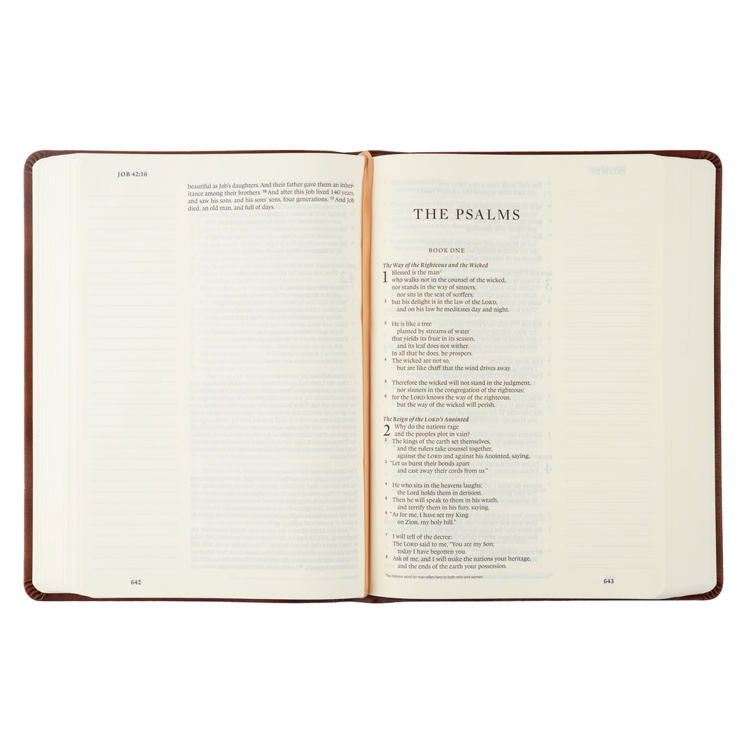 ESV Large Print Journaling Bible: Verona Theme