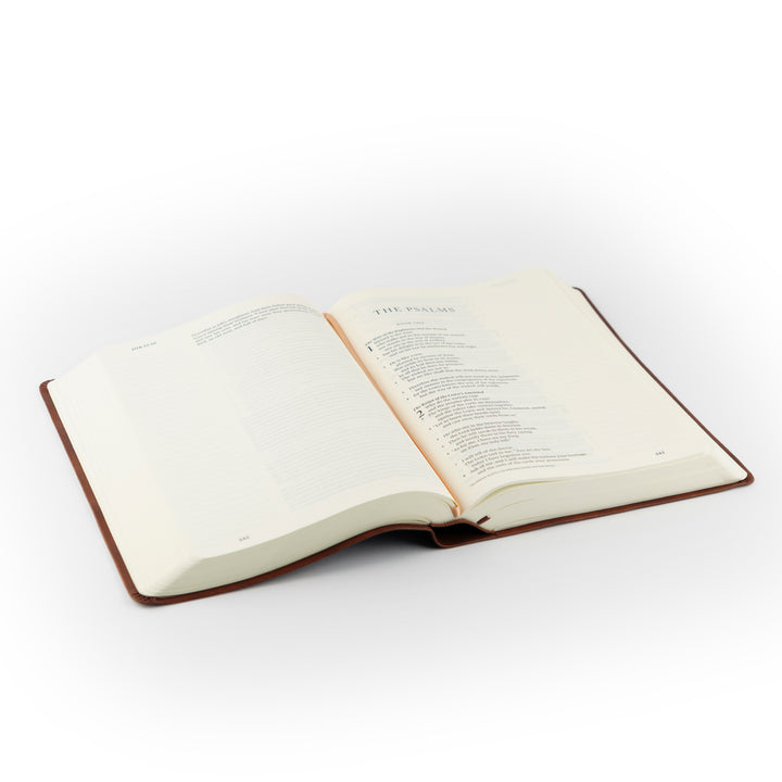 ESV Large Print Journaling Bible: Verona Theme