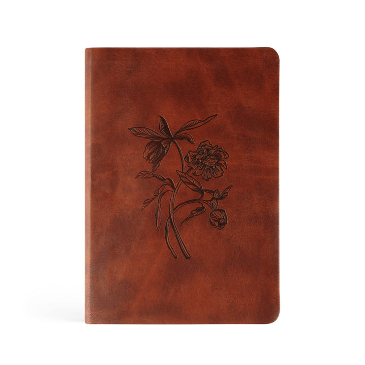 Notebook: Verona Theme