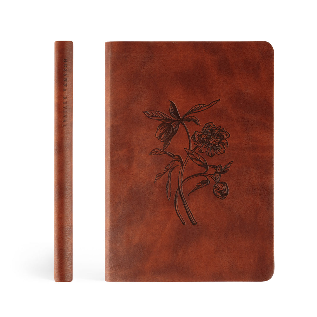 Notebook: Verona Theme